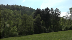 thumbnail of medium KKPA - Film 2024: Running out of time